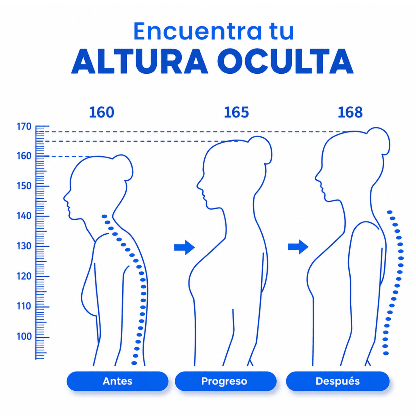 POSTUREX™ Corrector de Postura Inteligente.
